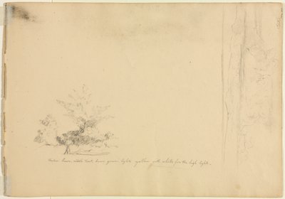 Studia krajobrazowe i drzewiaste wers. 1851. autorstwa David Johnson