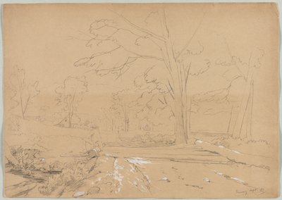 Krajobraz z wędkującym mężczyzną, Conway, New Hampshire autorstwa David Johnson