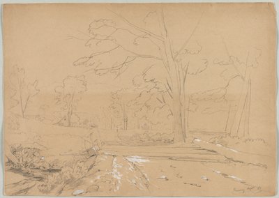 Krajobraz z Man Fishing, Conway, New Hampshire, 1851. autorstwa David Johnson
