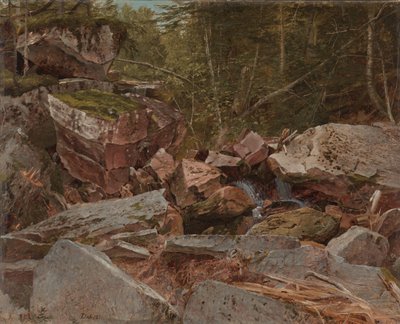 Studium, North Conway, New Hampshire, 1851 autorstwa David Johnson