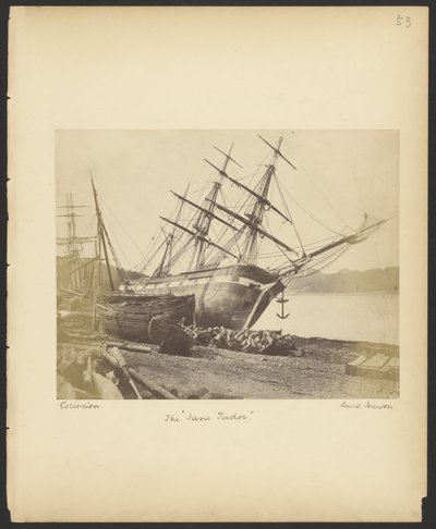 Jane Tudor" autorstwa David Johnson