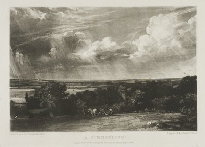 Summerland autorstwa David Lucas