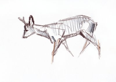 RoeBuck, 2021 autorstwa David Mayer