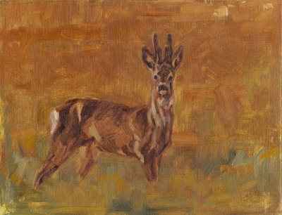Roe Buck, 2021 autorstwa David Mayer