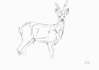 Roe Buck, 2024 (tusz z bambusowym piórem trzcinowym na papierze) autorstwa David Mayer