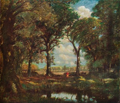 Basen leśny, ok. 1905 r. autorstwa David Muirhead