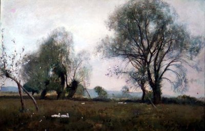 W dole na łąkach autorstwa David Murray