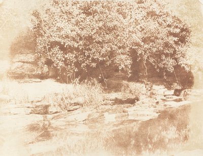 Burnside, Fife Island na rzece Almond, 1843-47. Twórcy: David Octavius Hill, Robert Adamson, Hill & Adamson. autorstwa Hill and Adamson