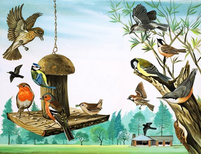 Różne ptaki wokół stołu w ogrodzie, ilustracja z filmu "Dawno, dawno temu autorstwa David Pratt