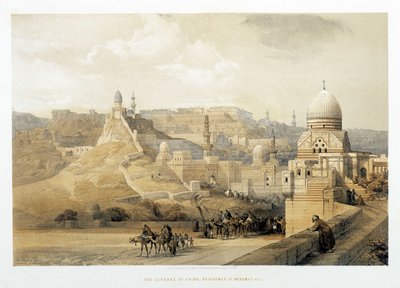 Cytadela w Kairze, Pałac Mehemeta Alego w „Ziemi Świętej”, Londyn 1849. autorstwa David Roberts