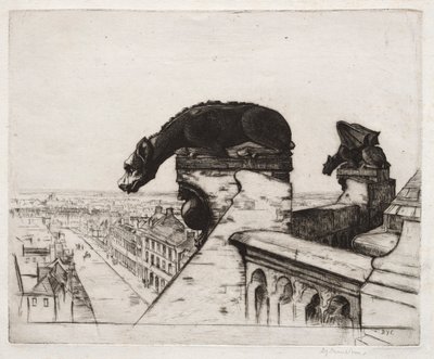Bezskrzydły Chimera autorstwa David Young Cameron