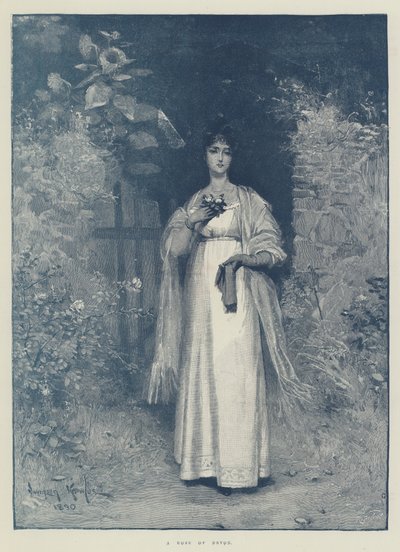 Róża Devon autorstwa Davidson Knowles