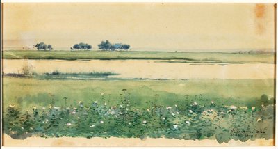 (Krajobraz z bagnami) autorstwa De Lancey Gill