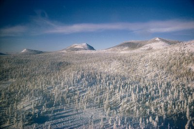 Syberia w zimowym krajobrazie nad bagnami i lasami pokrytymi śniegiem

 autorstwa Dean Conger