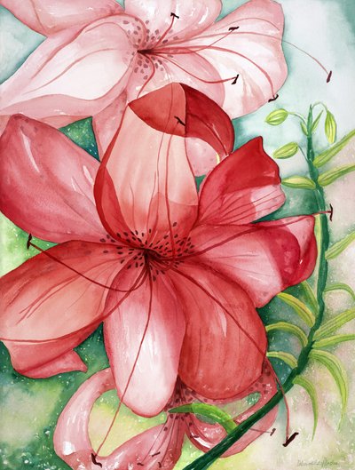 Tigerlily, 2007 (akwarela) autorstwa Deborah Eve Alastra