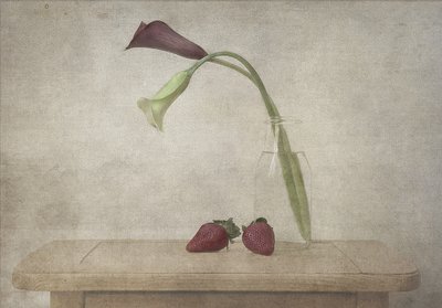  autorstwa Deborah Gugeri