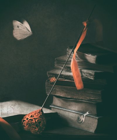 Motyl w stylu „Dark Academia” autorstwa Delphine Devos