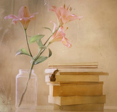 „Marzycielskie lilie” – wydawnictwo Snail Books autorstwa Delphine Devos