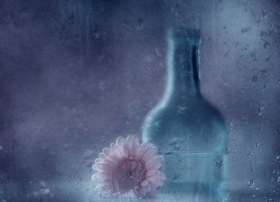 Marzycielska gerbera w deszczu autorstwa Delphine Devos