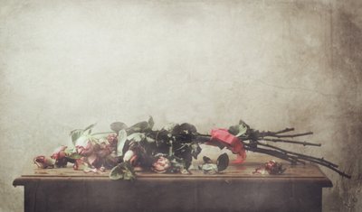 Martwa natura z więdnącymi różami autorstwa Delphine Devos