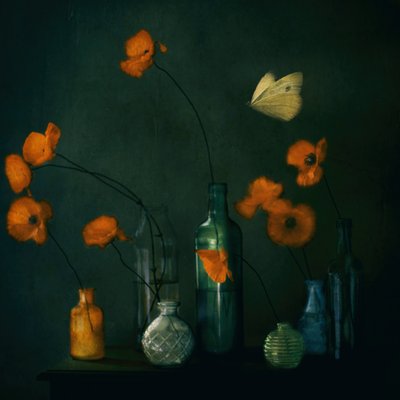 Motyl „Moody Poppies” autorstwa Delphine Devos