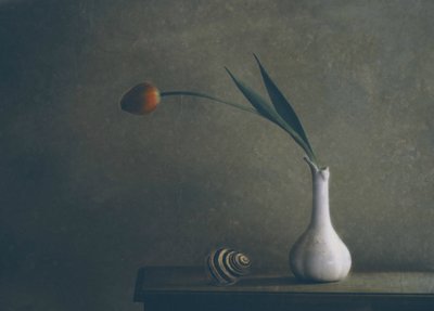 Martwa natura z tulipanami w nastrojowej kompozycji autorstwa Delphine Devos