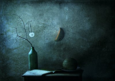 Martwa natura w blasku księżyca autorstwa Delphine Devos
