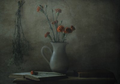 Cicha martwa natura z goździkami autorstwa Delphine Devos