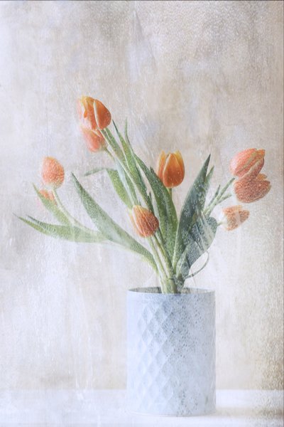  autorstwa Delphine Devos