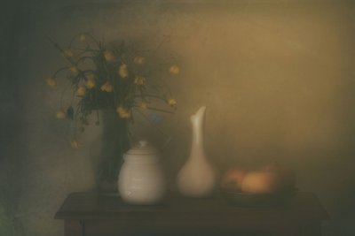 Delikatna żółta martwa natura autorstwa Delphine Devos