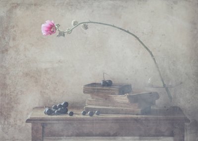 Vintage Books i Bloom autorstwa Delphine Devos