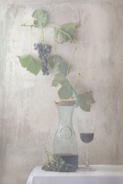 Martwa natura z winogronami w stylu vintage autorstwa Delphine Devos