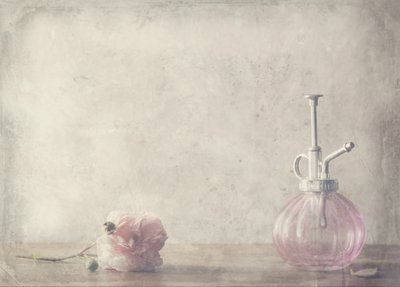 Perfumy „Vintage Pink Rose” autorstwa Delphine Devos