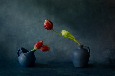 Elegancka martwa natura z tulipanami autorstwa Dennis Zhang