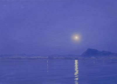 Światło księżyca nad Udaipur autorstwa Derek Hare