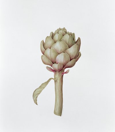 Karczoch, 1999 autorstwa Diana Everett