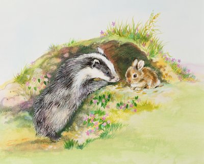 Borsuk i królik autorstwa Diane Matthes