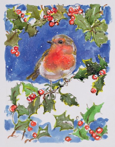 Boże Narodzenie Robin, 1996 (wc) autorstwa Diane Matthes