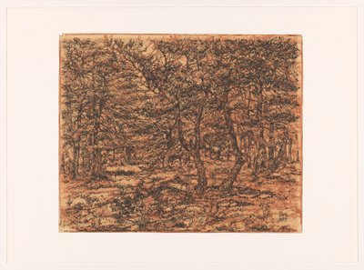 leśny krajobraz autorstwa Dick Ket (signed by artist)