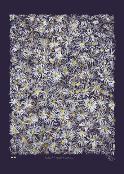 Ktoś powiedział kwiaty, 2022 (grafika cyfrowa wykonana na iPadzie) autorstwa Diego Beyro