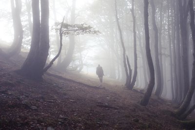 Droga do Roncesvalles z pielgrzymem, 2016 (zdjęcie cyfrowe) autorstwa Diego Beyro