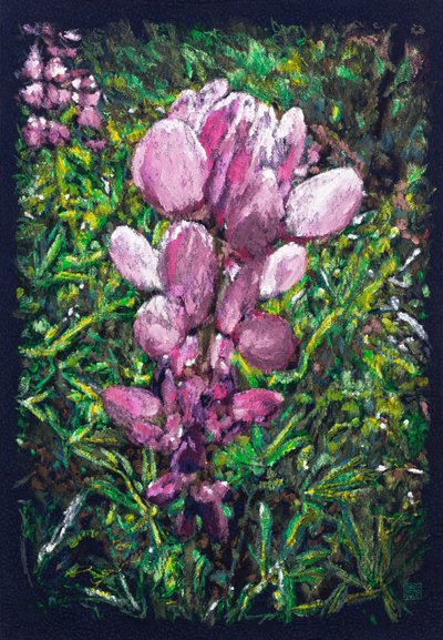 Łubin hiszpański w pobliżu La Calzada de Bejar, 2025 (akryl i ołówek na tkaninie) autorstwa Diego Beyro