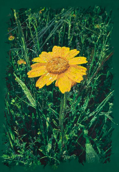 Żółta margerytka w pobliżu Caparra, 2025 (akryl i ołówek na tkaninie) autorstwa Diego Beyro