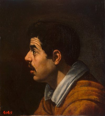 Głowa mężczyzny z profilu, ok. godz. 1616-1617 autorstwa Diego Velázquez