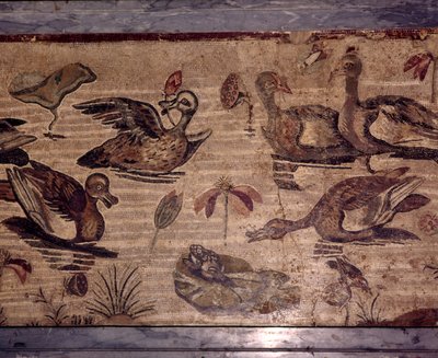 Rzymska mozaika z Pompei przedstawiająca kaczki i żaby w ogrodzie wodnym, I wiek autorstwa Dioscurides of Samos