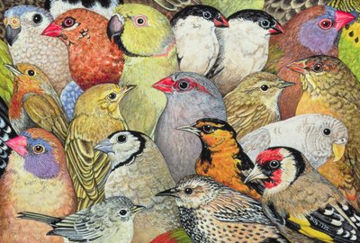 Patchwork-Birds, 1995 (akryl na panelu) autorstwa Ditz