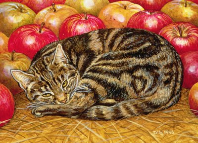 Praworęczny Apple-Cat, 1995 (akryl na panelu) autorstwa Ditz
