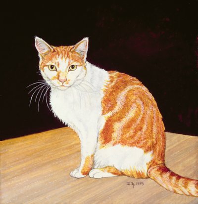 Tomasz autorstwa Ditz