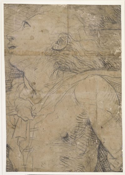Młody mężczyzna spoglądający w górę (półpostacie), fragment kartonu autorstwa Domenico Beccafumi