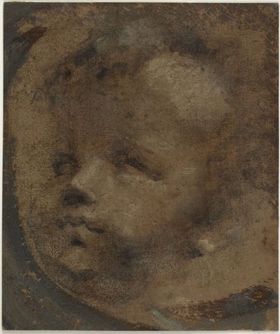 Głowa putta autorstwa Domenico Beccafumi